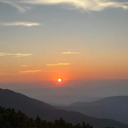 U Zboja