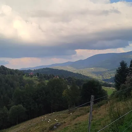 Nyaraló U Zbója Zawoja