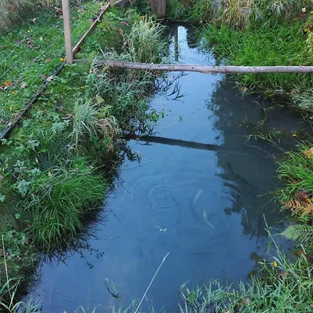 U Zbója Nyaraló Zawoja